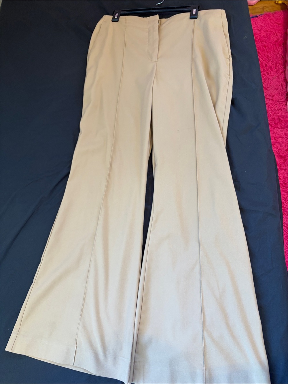 Ann Taylor Beige Boot Cut Dress Pants